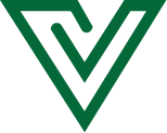 Verion Logo